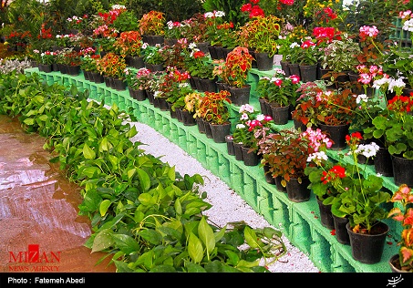 سیزدهمین نمایشگاه ملی گل محلات + عکس