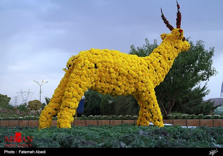 سیزدهمین نمایشگاه ملی گل محلات + عکس