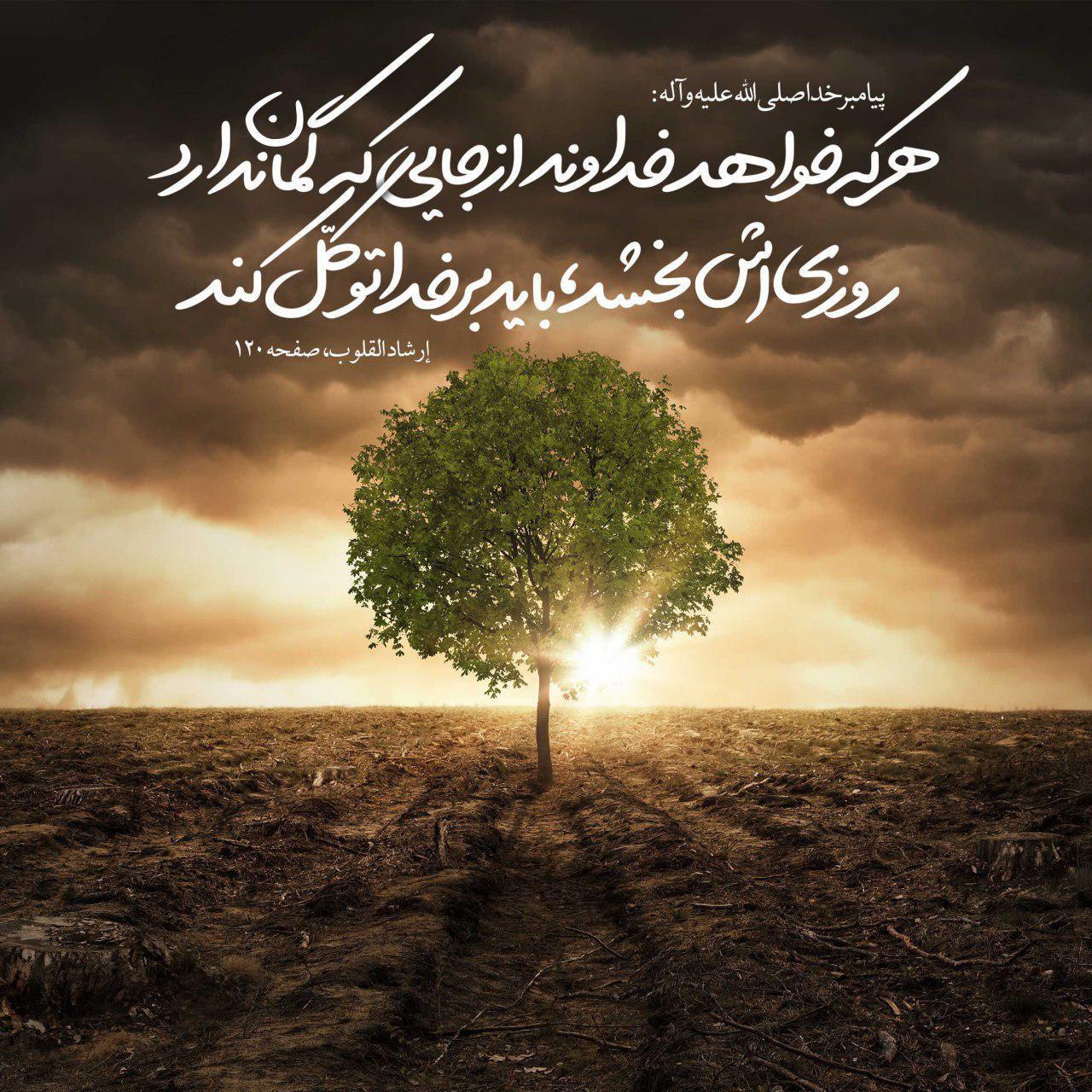 وقتی قطر نیز زیر بار حرف زور نمی‌رود! / چه کسانی تروریست‌ها را در بیرون مرز‌ها آموزش می‌دهند؟