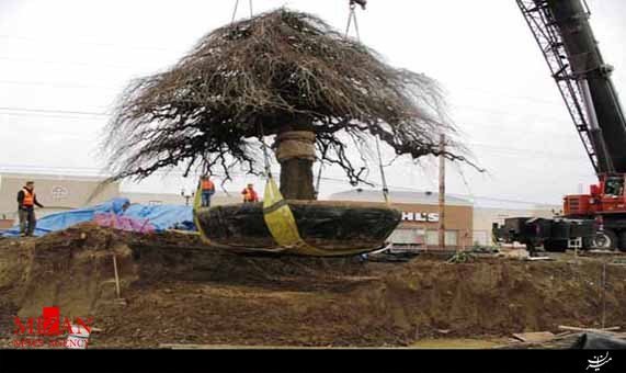 حفظ حرمت طبیعت 