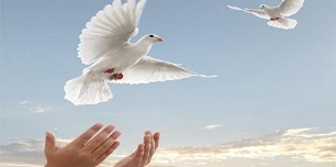 رهایی دو زندانی محکوم به قصاص نفس از دار مجازات