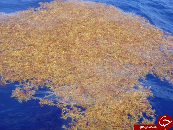 دریایی عجیبی که حتی یک ساحل هم ندارد! +تصاویر
