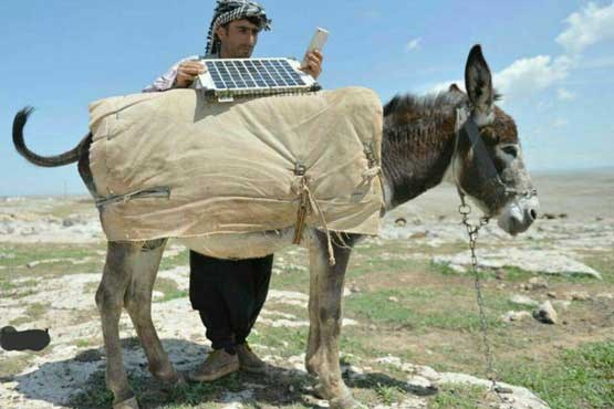 پنل خورشیدی