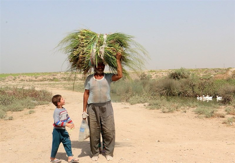 تالاب تالاب