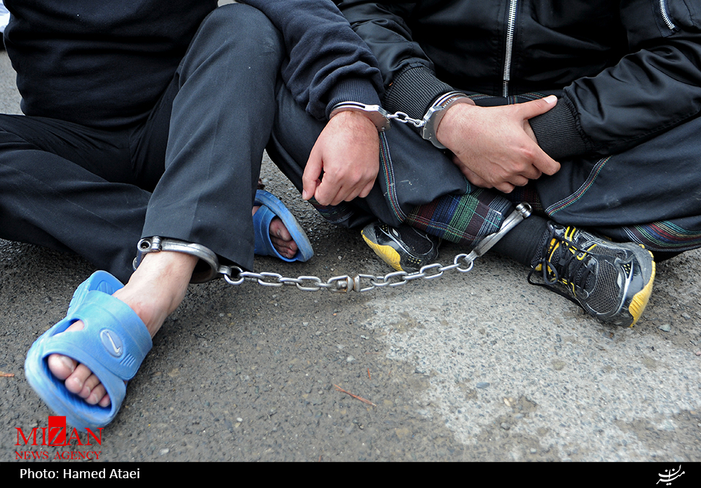 دستگیری سارق 