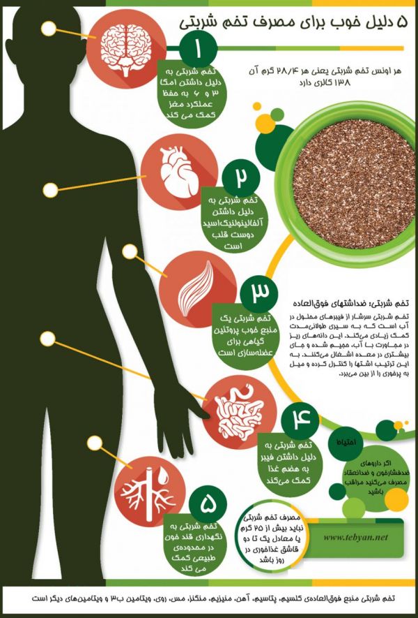 اینفوگرافی اینفوگرافی