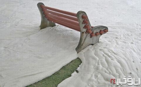 پدیده ‎عجیب‎ در ساحل‎ آفریقای‎ جنوبی + تصاویر