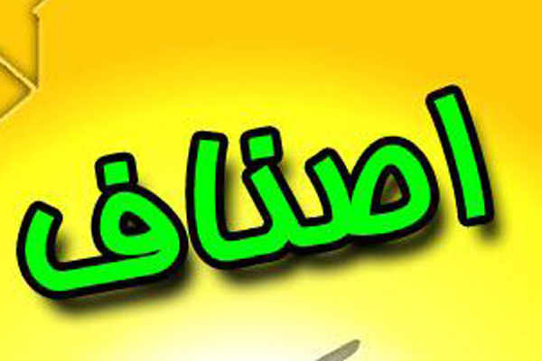 اصناف یا صنف چیست؟