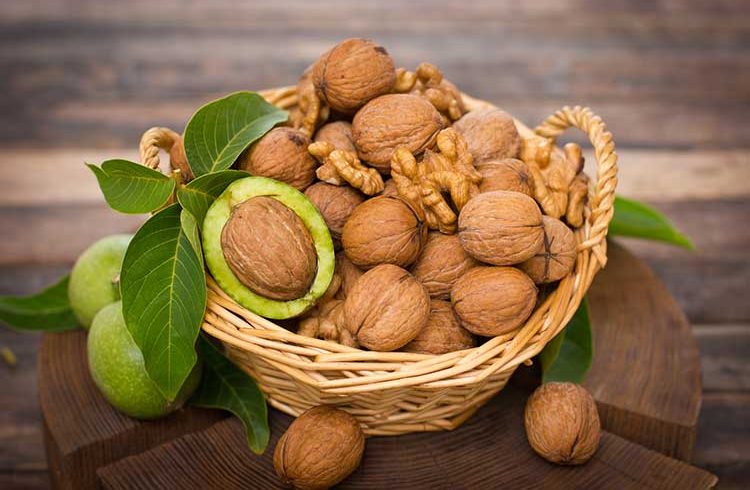 بهترین لبنیات برای سالمندان کدام است؟ / معجزه ۳۰ روز آب نوشیدن/ نوشیدنی تابستانی که شکم را کوچک می‌کند