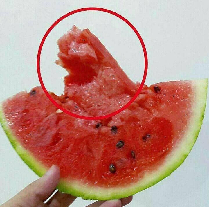 هندونه