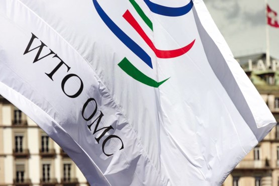 wto