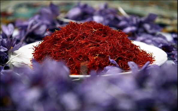 زعفران؛ طلای سرخ معجزه‌گر