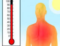 ترفندهای طب سنتی برای مقابله با گرمازدگی