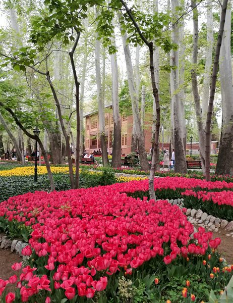 بوستان باغ ایرانی پذیرای طبیعت دوستان+تصاویر بوستان باغ ایرانی پذیرای طبیعت دوستان+تصاویر