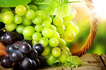 مبارزه با پوکی استخوان با میوه ای به نام انگور مبارزه با پوکی استخوان با میوه ای به نام انگور