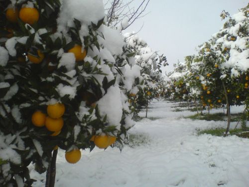 ورود کاروران صنایع دستی به تهران/ کمک دولت به باغداران مازندرانی، / شورای شهر کرمان نباید بنگاه سیاسی شود، نوسازی تاکسی های فرسوده کردستان تا پایان شهریورماه ورود کاروران صنایع دستی به تهران/ کمک دولت به باغداران مازندرانی، / شورای شهر کرمان نباید بنگاه سیاسی شود، نوسازی تاکسی های فرسوده کردستان تا پایان شهریورماه
