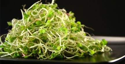 جوانه ها و سبوس غلات چه خواصی دارد جوانه ها و سبوس غلات چه خواصی دارد