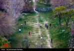 مشکل حریم در پایتخت جدی است/ ادامه بررسی ها برای تصویب 