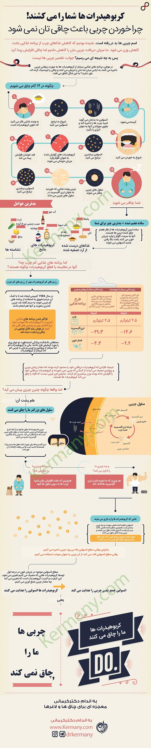 کربوهیدرات یا چربی؛ کدام یک چاقتان می کند؟ + اینفوگرافی