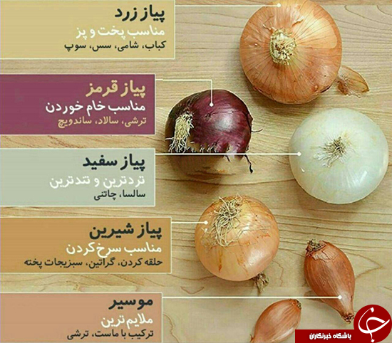 از پیازها، تفاوت رنگ و نوع مصرف آنها چه میدانید؟/ کدام پیاز مناسب پخت و پز است؟! از پیازها، تفاوت رنگ و نوع مصرف آنها چه میدانید؟/ کدام پیاز مناسب پخت و پز است؟!