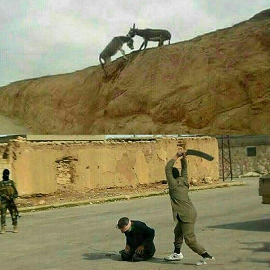 تعبیری دیگر از تمدن انسانی + عکس تعبیری دیگر از تمدن انسانی + عکس
