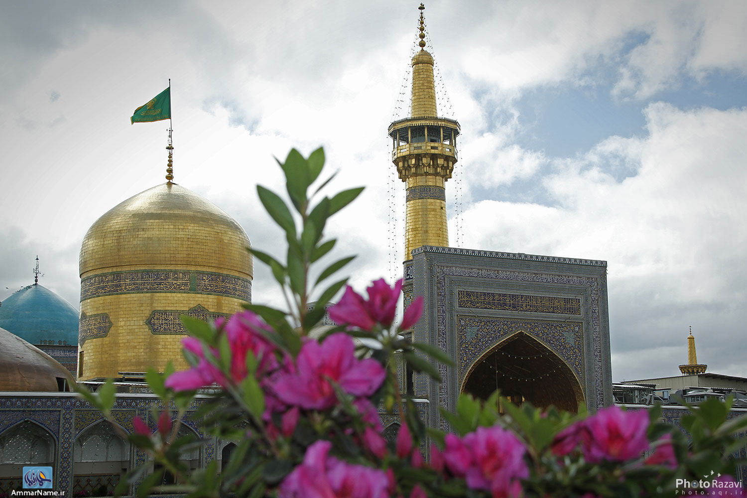 حضرت علی بن موسی الرضا (ع) 