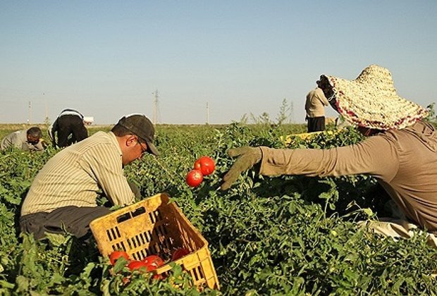 تخریب باغ های قم به دلیل افازایش دما، ناتوانی 80درصد واحدهای صنفی بهارستان در پرداخت مالیات، ایجاد دوهزار شغل در بخش کشاورزی استان مرکزی، جهادگران میهمان کپرنشینان ریگانی شدند تخریب باغ های قم به دلیل افازایش دما، ناتوانی 80درصد واحدهای صنفی بهارستان در پرداخت مالیات، ایجاد دوهزار شغل در بخش کشاورزی استان مرکزی، جهادگران میهمان کپرنشینان ریگانی شدند