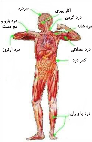 آشنایی با مگنت تراپی، روشی نوین در طب فیزیک آشنایی با مگنت تراپی، روشی نوین در طب فیزیک