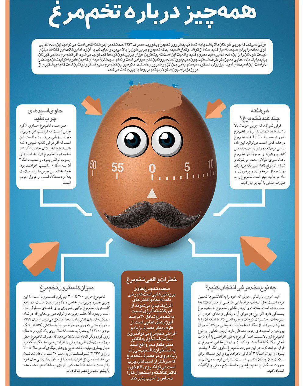 همه آنچه از تخم مرغ نمی دانید! همه آنچه از تخم مرغ نمی دانید!