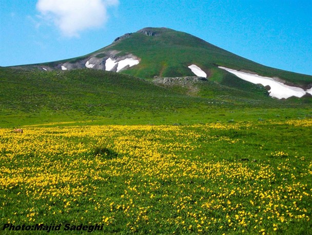روستای زیبای لاجیم/ شهر بوکان/ شهر سبلان/ دریاچه ترشاب/ دریاچه و جنگل چورت روستای زیبای لاجیم/ شهر بوکان/ شهر سبلان/ دریاچه ترشاب/ دریاچه و جنگل چورت
