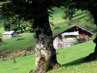 آشنایی با روستای کمسار+تصاویر آشنایی با روستای کمسار+تصاویر
