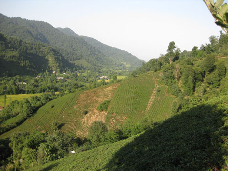 آشنایی با روستای کمسار+تصاویر آشنایی با روستای کمسار+تصاویر