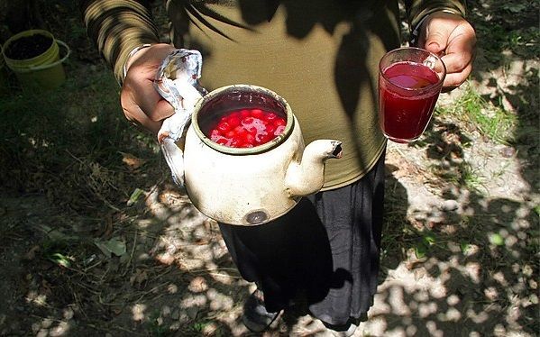 چای آلبالو؛ نوشیدنی که نباید به سادگی از کنار آن گذشت چای آلبالو؛ نوشیدنی که نباید به سادگی از کنار آن گذشت