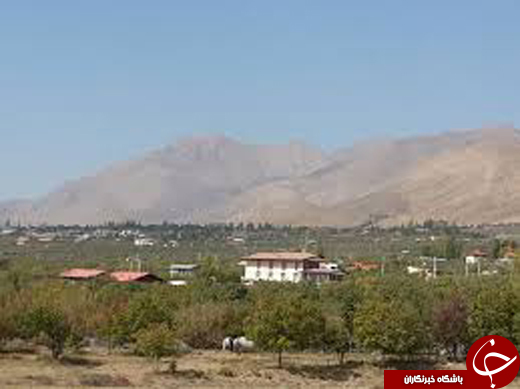 آیا میدانید؛ تخمه ژاپنی از کجا آمده است؟!