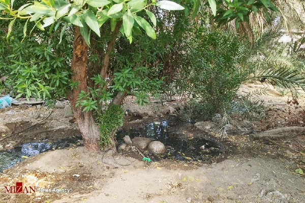 پرونده فوت دختر شادگانی بصورت فوق العاده رسیدگی میشود پرونده فوت دختر شادگانی بصورت فوق العاده رسیدگی میشود