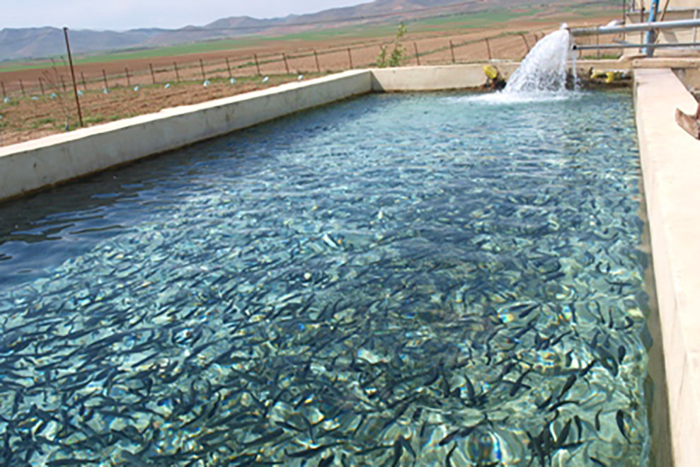 خانه ای خالی از نشاط/ انجام رایگان عمل جراحی برای کودکان زاهدانی/ خطر سیل برای شهر کاسه ای/ مدارس غیرقابل استفاده در همدان خانه ای خالی از نشاط/ انجام رایگان عمل جراحی برای کودکان زاهدانی/ خطر سیل برای شهر کاسه ای/ مدارس غیرقابل استفاده در همدان