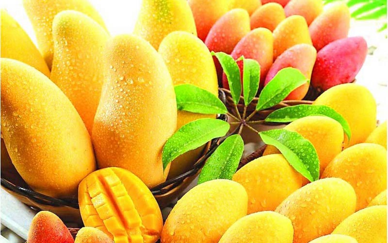 هشدار؛ سیگار الکترونیکی قلب را پیر میکند/ چقدر از خواص دارویی انبه میدانید؟ / درد و گزگز انگشتان پا را جدی بگیرید هشدار؛ سیگار الکترونیکی قلب را پیر میکند/ چقدر از خواص دارویی انبه میدانید؟ / درد و گزگز انگشتان پا را جدی بگیرید