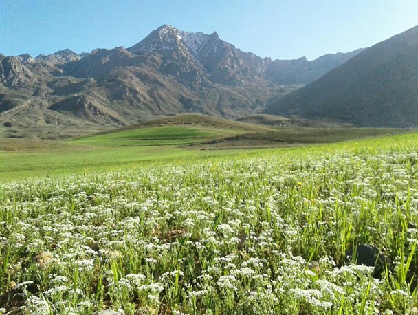 خورموج/ دشت لاله واژگون/ هفشجان/ غار شاپور اول ساسانی