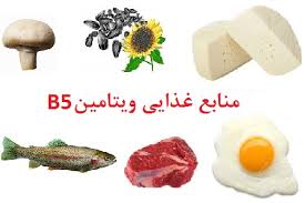 بدن بدنسازها بدون این ویتامین عضله نمی سازد بدن بدنسازها بدون این ویتامین عضله نمی سازد