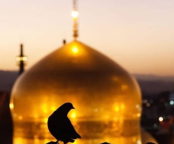 از ثواب زیارت امام رضا (ع) چه میدانید؟ از ثواب زیارت امام رضا (ع) چه میدانید؟