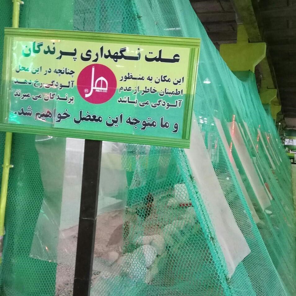 مرگ پرندگان، سنسور تشخیص آلایندگی یک واحد صنعتی! مرگ پرندگان، سنسور تشخیص آلایندگی یک واحد صنعتی!