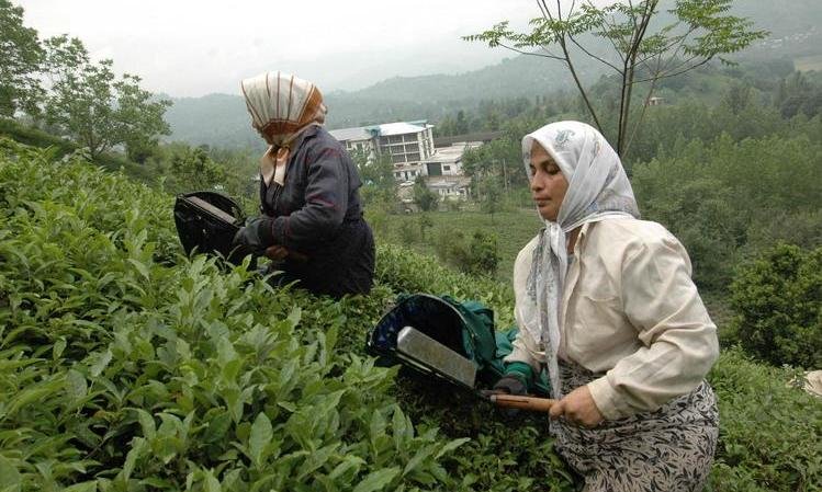 هوای پایتخت در شرایط ناسالم، تغییر رویکرد برای بحران آب در کشاورزی همدان، اجرای طرح بزرگ راه چرمشهر- بومهن، 165 سال با عکاسی، روند نزولی صادرات فرش دستباف ایران، هوای پایتخت در شرایط ناسالم، تغییر رویکرد برای بحران آب در کشاورزی همدان، اجرای طرح بزرگ راه چرمشهر- بومهن، 165 سال با عکاسی، روند نزولی صادرات فرش دستباف ایران،