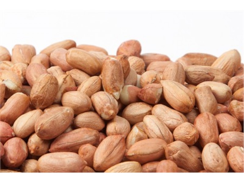 چگونه آلرژی به بادام زمینی را درمان کنیم؟ چگونه آلرژی به بادام زمینی را درمان کنیم؟
