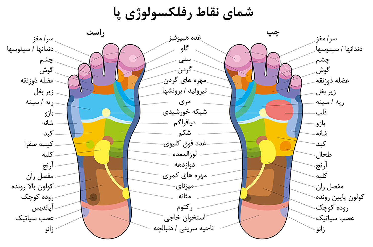 بازتاب درمانی چیست؟