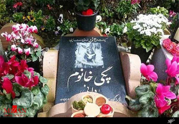 شما هم دعوت هستید/ جشن تولد سالی، پسرم