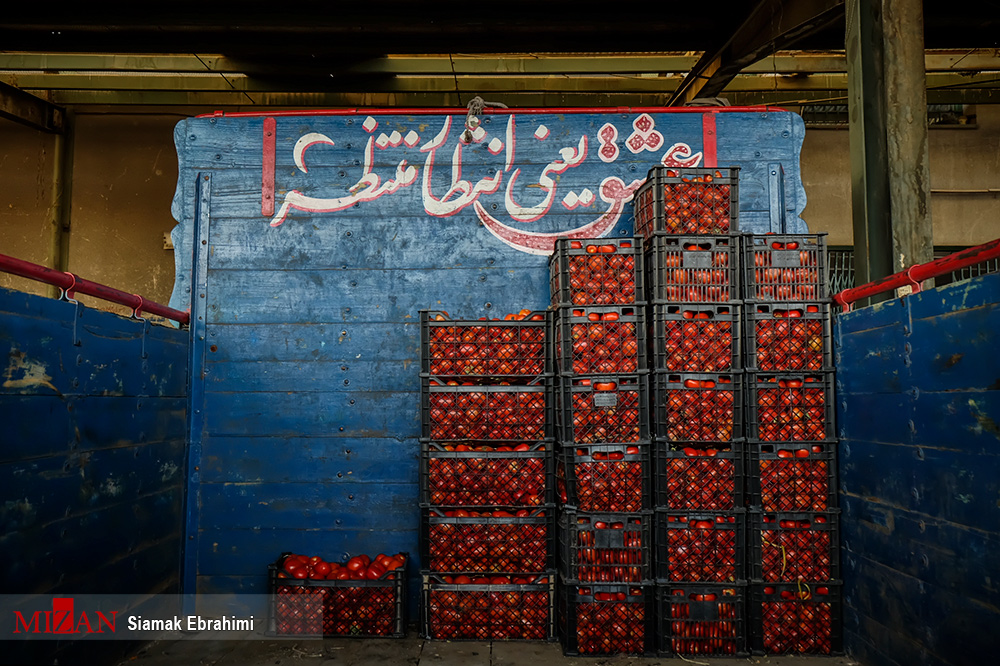 صادرات محصولات خام کشاورزی بدون گواهی بهداشت ممنوع است
