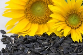 روغن های مایع امروز بدتر از روغن های جامد دیروز!