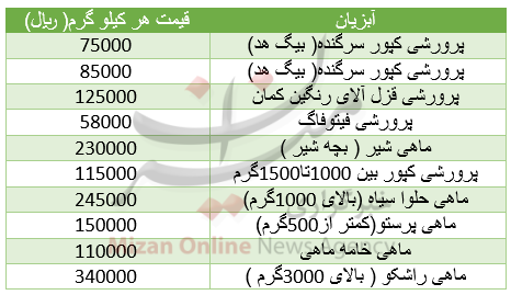 دلار و یورو در گرانی همسو شدند/ دلار و یورو در گرانی همسو شدند/