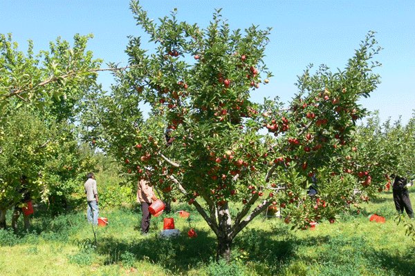 گردشگری روستایی در حوالی پایتخت+تصاویر گردشگری روستایی در حوالی پایتخت+تصاویر