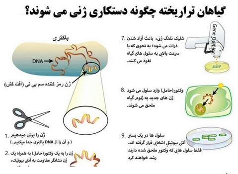 یک «تراریخت» چگونه تولید می‌شود؟+اینفوگراف